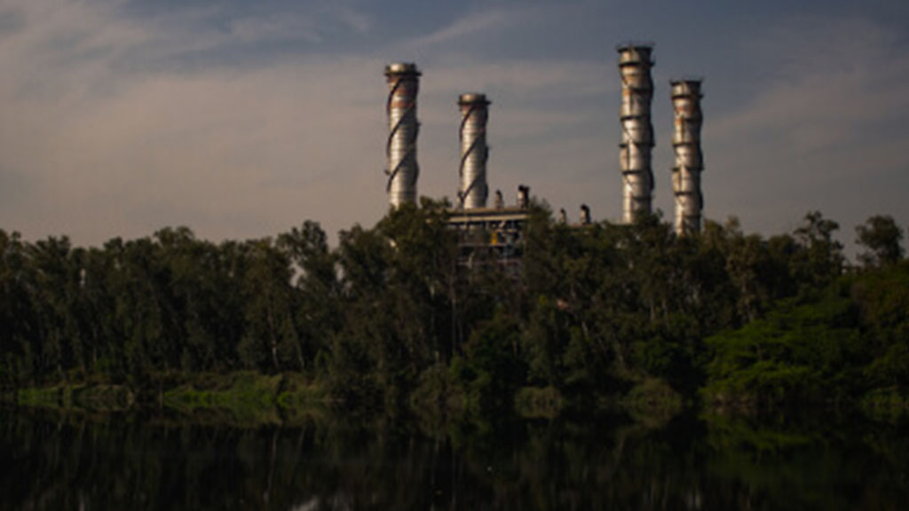 Gain of Automation in the Food & Beverage Industry